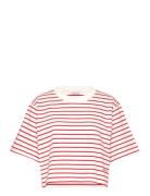 Cropped Tee House Of Dagmar Red
