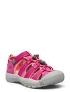 Ke Newport H2 C Berry-Fusion  KEEN Pink