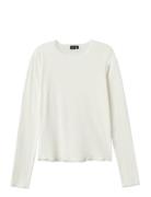 Nlfkab Ls Short S Top LMTD White