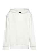 Nlfherry Ls Sweat W Hood LMTD Cream