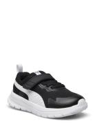 Puma Evolve Run Mesh Ac+ Inf PUMA Black