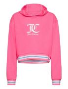 Juicy Rib Tipping Oth Hoodie Lb Juicy Couture Pink