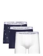 Stretch Cotton Boxer Brief 3-Pack Polo Ralph Lauren Underwear Navy