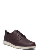 Low Lace Up Sneaker Timberland Brown