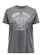 Carmiko Life Washed Ss Reg Tee Jrs ONLY Carmakoma Grey