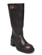 Bonna Boot Steve Madden Brown