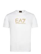 T-Shirt EA7 White