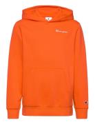 Hooded Sweatshirt Champion Orange