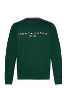 Tommy Logo Sweatshirt Tommy Hilfiger Green