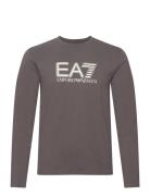 T-Shirt EA7 Grey