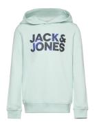 Jjstyd Corp Splash Sweat Hood Ln Jnr Jack & J S Green