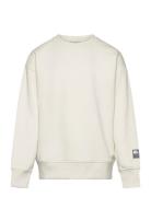 Over Basic Sweatshirt Tom Tailor Cream