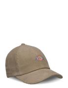 Hardwick Corduroy Cap Dickies Beige