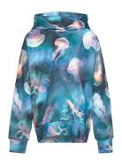 Sweatshirt Hood Aop Ocean Spac Lindex Blue