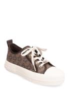 Evy Lace Up Michael Kors Brown