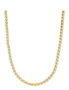 The Daisy Rope Chain- Gold LUV AJ Gold