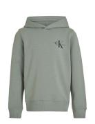 Small Monogram Hoodie Calvin Klein Green