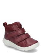 Sp.1 Lite Infant ECCO Burgundy