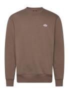 Summerdale Sweatshirt Dickies Brown