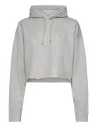 Isoli Cropped Over D Hoodie Ganni Grey