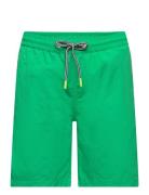 Nilson Solid Molo Green