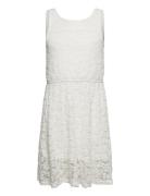 Dress Lace Skater Lindex White