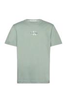 Monologo Tee Calvin Klein Jeans Green