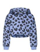 Cropped All Over Printed Hoody Tom Tailor Blue