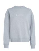 Hero Logo Sweatshirt Calvin Klein Grey