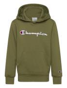 Hooded Sweatshirt Champion Green