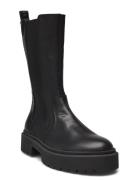 Ginny Boots Steve Madden Black