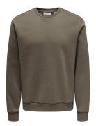 Onsceres Crew Neck Noos ONLY & SONS Brown