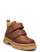 Shoes - Flat - With Velcro ANGULUS Brown