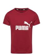 Ess Logo Tee G PUMA Burgundy