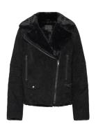 Awa Shearling Suede Biker Jofama Brown