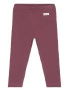 Leggings Rib Fixoni Burgundy