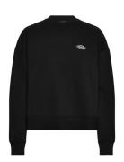 Summerdale Sweatshirt Dickies Black