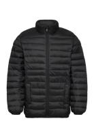 Quilted Jacket Mango Black