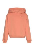 Hooded Sweatshirt Champion Rochester Orange