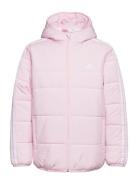 3-Stripes Padded Jacket Kids Adidas Sportswear Pink