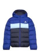 J Sd Jkt Adidas Sportswear Blue