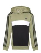 J 3S Tib Fl Hd Adidas Sportswear Khaki