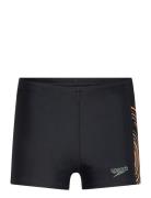 Boys Plastisol Placement Aquashort Speedo Black