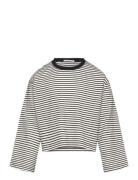 Cropped Striped Longsleeve Tom Tailor Grey