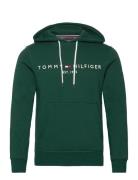 Tommy Logo Hoody Tommy Hilfiger Green