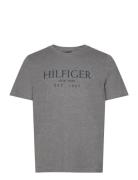 Big Hilfiger Tee Tommy Hilfiger Grey