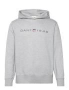 Printed Graphic Hoodie GANT Grey