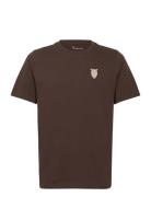 Regular Owl Chest Embroidery T-Shir Knowledge Cotton Apparel Brown