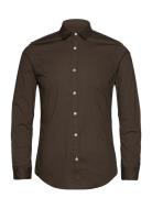 Essential Poplin Solid Scotch & Soda Brown