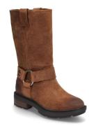 Brimfield Tall Pull On Boot Dark Brown Suede Timberland Brown